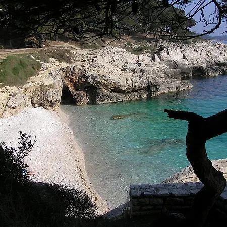 Oria Πούλα